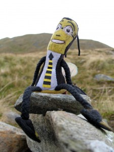Wasp Ben Lomond