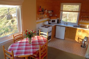 Kitchen in Lodge / Chalet