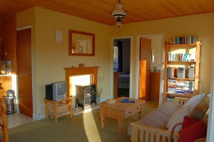 Living Room in Lodge / Chalet